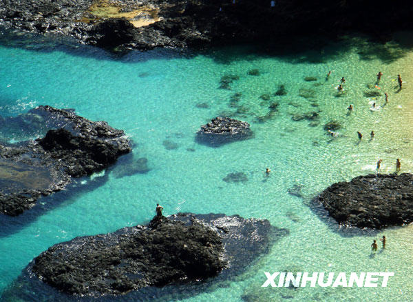 的费尔南多—迪诺罗尼亚岛冰球突破豪华版a